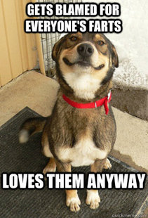 Good Dog Greg