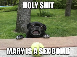 Berks Dog