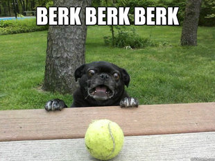 Berks Dog