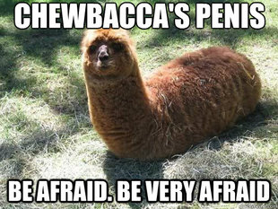 Alpacapillar
