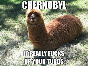 Alpacapillar