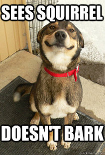 Good Dog Greg