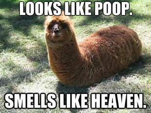 Alpacapillar