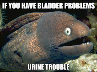 Bad Joke Eel