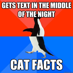 Socially Awesome Awkward Penguin