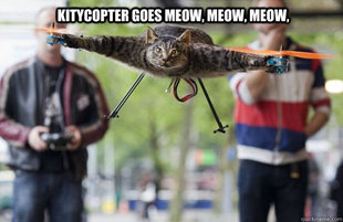 Kittycopter
