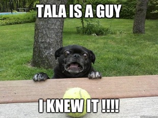 Berks Dog
