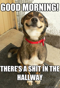 Good Dog Greg