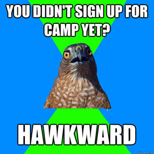 Hawkward