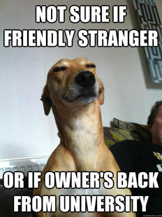 Not Sure Dog