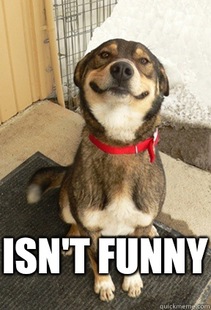 Good Dog Greg