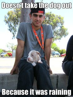 D-Bag Dog Owner