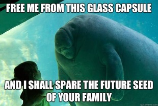 Overlord Manatee