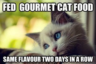 First World Cat Problems