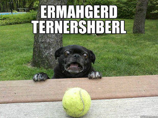 Berks Dog