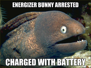 Bad Joke Eel