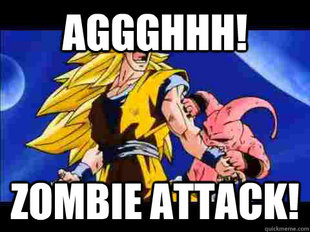 Goku & kid buu