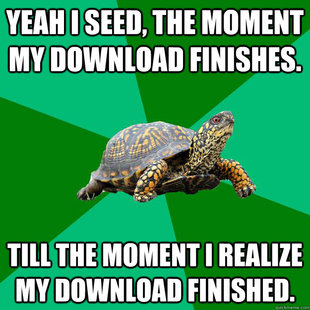 Torrenting Turtle