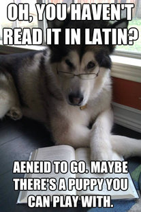 Condescending Literary Pun Dog