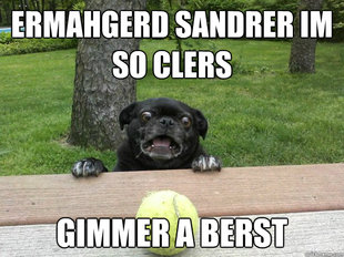 Berks Dog