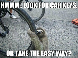 LuvSloth