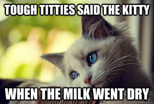 First World Problems Cat