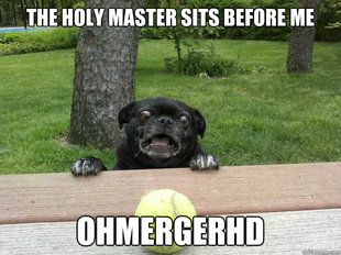 Berks Dog