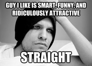 First World Gay Problems