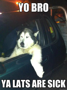 Mean Dog