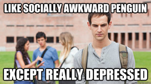Soul Searching Sophomore