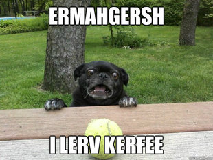 Berks Dog