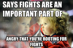 Die Hard Hockey Fan