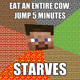 Minecraft