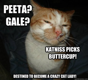good cat greg