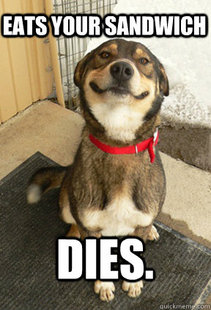Good Dog Greg