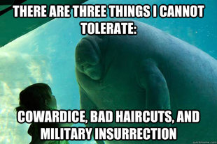 Overlord Manatee