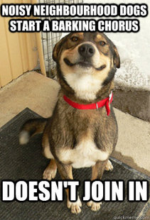 Good Dog Greg