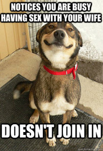 Good Dog Greg