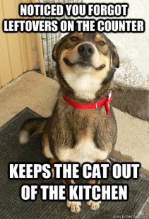 Good Dog Greg