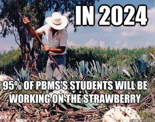 Hardworking Mexican