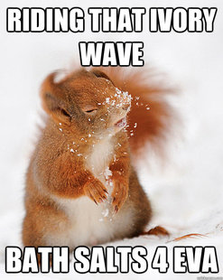 cover squirrel