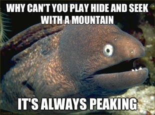 Bad Joke Eel