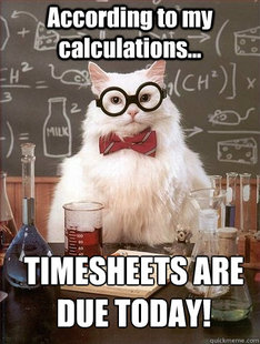 Chemistry Cat