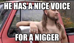 Almost Politically Correct Redneck