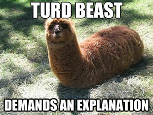 Alpacapillar