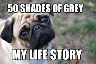 First World Dog problems
