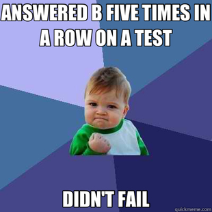 Success Kid
