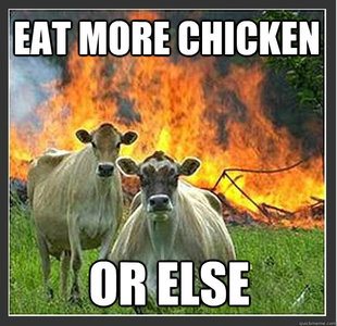 Evil cows
