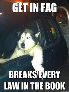 Mean Dog