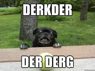 Berks Dog